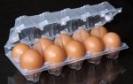 Тара для яиц: Челябинск и Караганда выбирают пластиковую упаковку!