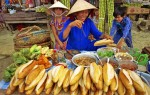 Вьетнамская кухня и ее особенности