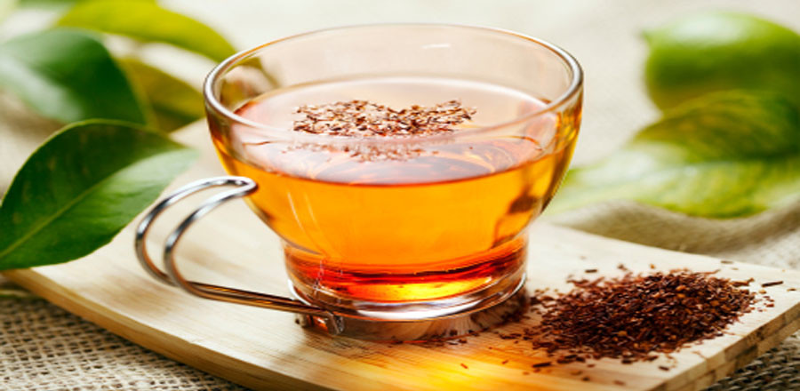 rooibos_chay_vikipedyja1